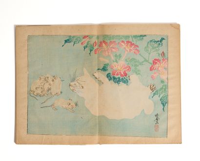 Ensemble d'albums : 
- Katsushika Hokusai...