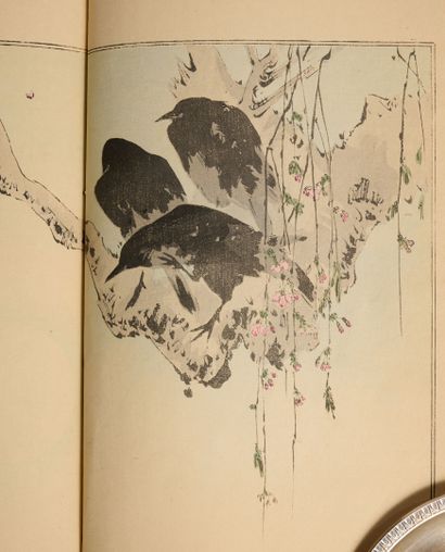 Ensemble d'albums : 
- Katsushika Hokusai...