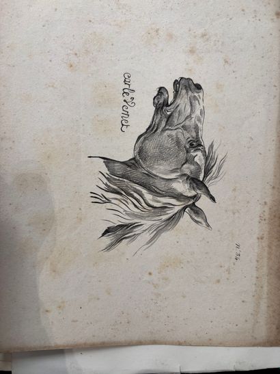 POCHETTE A DESSINS comprenant des gravures...