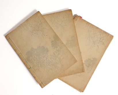 Ensemble d'albums : 
- Katsushika Hokusai...