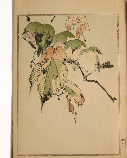 Ensemble d'albums : 
- Katsushika Hokusai...