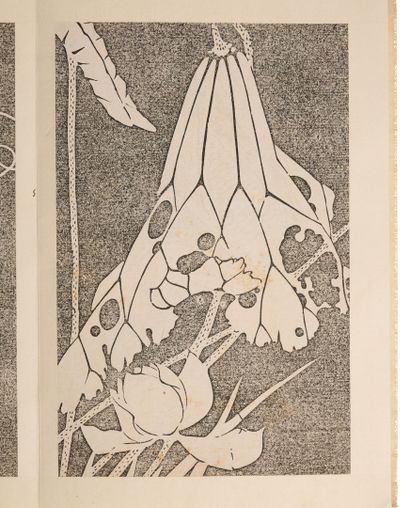 Ito Jakuchu (1716-1800)
Genpo Yôka (玄圃瑤華),...