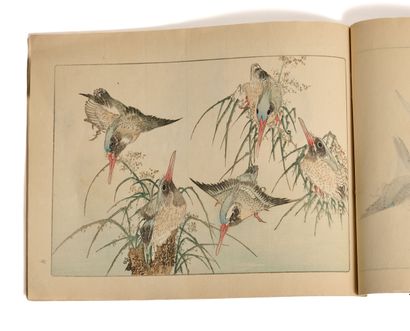 Ensemble d'albums : 
- Katsushika Hokusai...