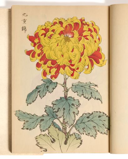 Hasegawa Keika (fl.1892-1905), Keika hyakugiku,...