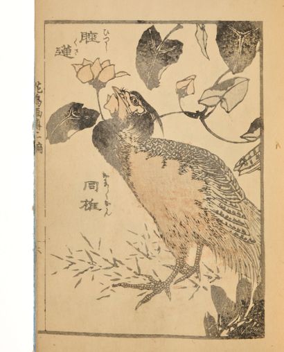 Ensemble d'albums : 
- Katsushika Hokusai...