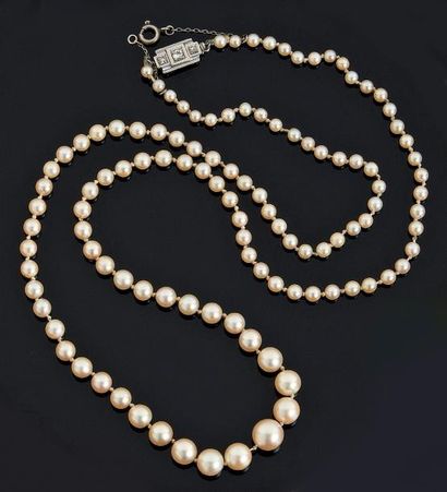 Collier de perles de culture blanches en...