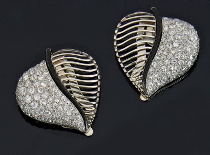 Paire de clips de revers 