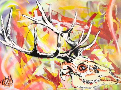 EZP (1970)
Cosmic Deer Skull, 2013 Technique...