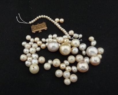 LOT DE PERLES DE CULTURE. On y joint un fermoir...