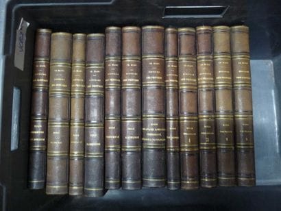 DOUZE VOLUMES Histoire des Peintres