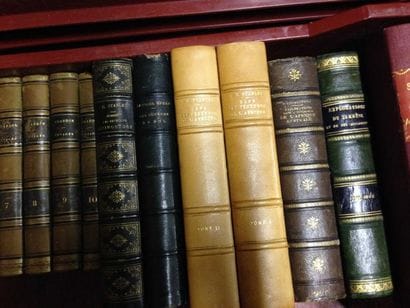 ENSEMBLE de VOLUMES sur le thème des VOYAGES...