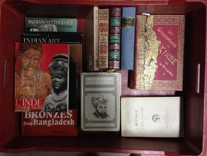 ENSEMBLE de VOLUMES sur le thème de l'INDE...