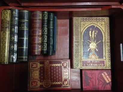 ENSEMBLE de VOLUMES sur thème des VOYAGES...