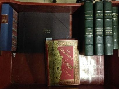 ENSEMBLE de VOLUMES sur le thème des INDES...