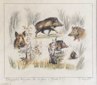 ENSEMBLE de HUIT GRAVURES et PIECES ENCADREES...