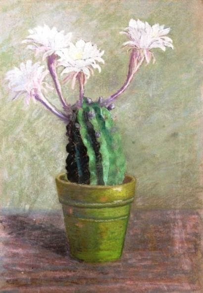Thérèse de MARTENNE
Cactus en fleurs Nature...