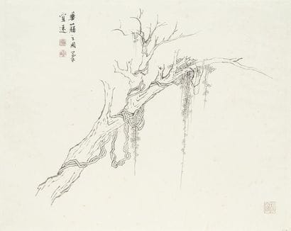 Pu Quan (1913-1991)
Encre sur papier, lianes...