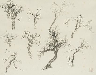 Pu Quan (1913-1991)
Encre sur papier, étude...