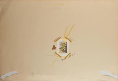 MARTIN François (1945)
Herbier
Collages et...
