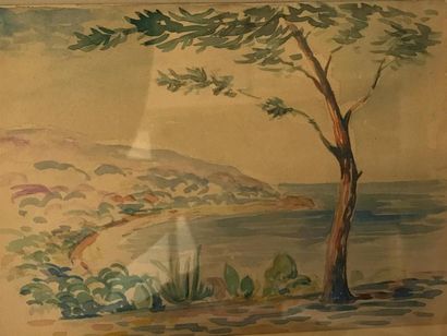 ANONYME, XXe siècle 
Paysage du midi 
Aquarelle...