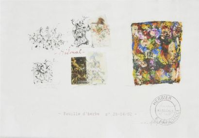 PAPADACCI E. XX-XXIème siècle
Herbier, Feuille...