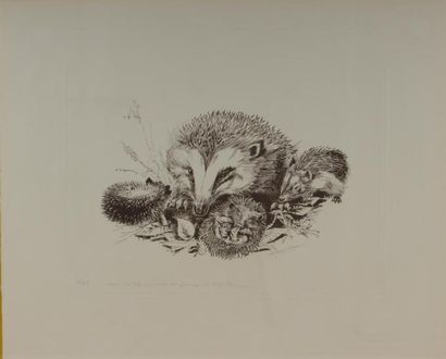 A RESTIEAUX
Félins et Hérissons
Deux gravures,...