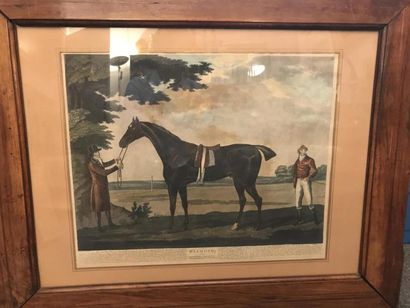 Deux gravures équestres, cadres en pitch...