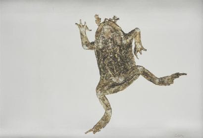 JALAIN Francis (1945)
Grenouille 
Technique...
