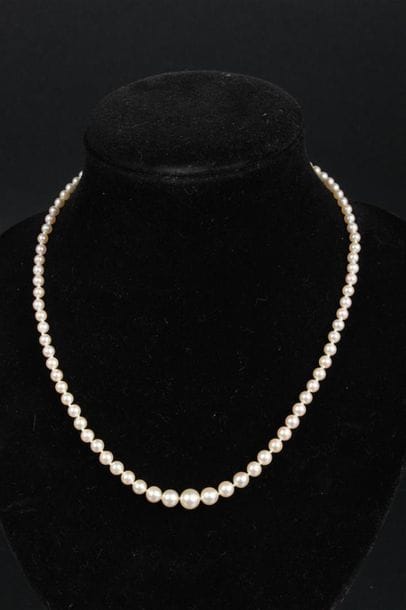 COLLIER de quatre-vingt-onze perles de culture...