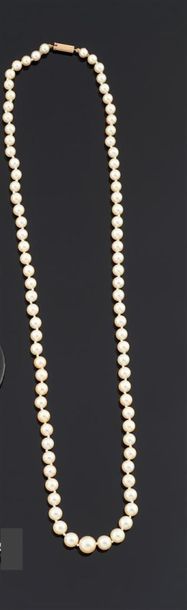COLLIER de perles de culture en chute, le...