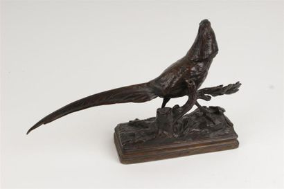 D'après Alfred DUBUCAND (1828-1894)
Faisan...