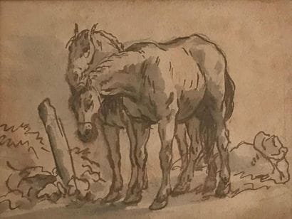 ECOLE DU XIXe siècle 
Deux chevaux 
Dessin...