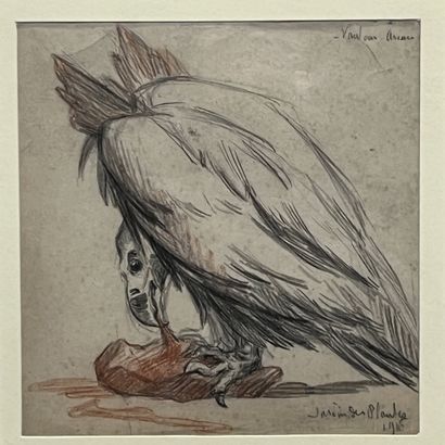 JANE LE SOUDIER. 2 études d'oiseaux dont...
