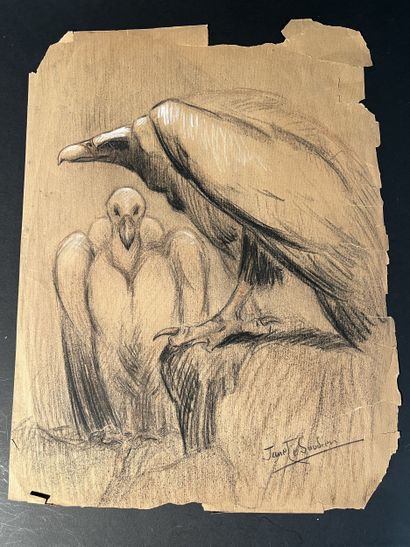 JANE LE SOUDIER. 2 études d'oiseaux dont...