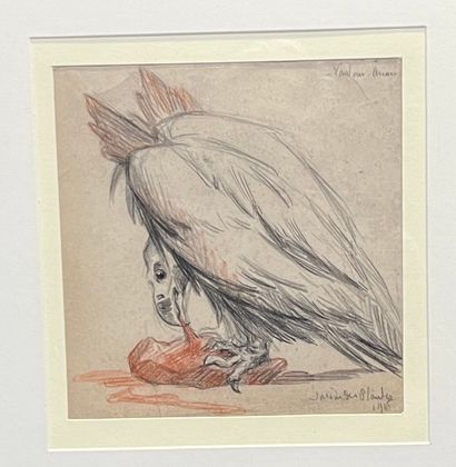 JANE LE SOUDIER. 2 études d'oiseaux dont...