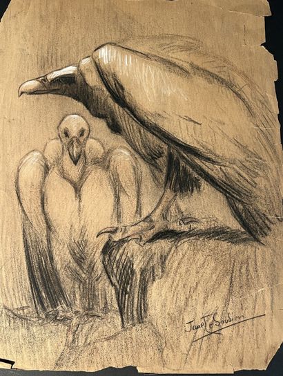 JANE LE SOUDIER. 2 études d'oiseaux dont...