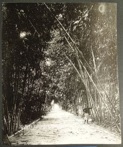 ALEXANDRE LEROUX. Alexandre Leroux (1836-1912)...