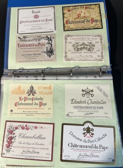 Collection d'étiquettes de vin dans 2 cl...