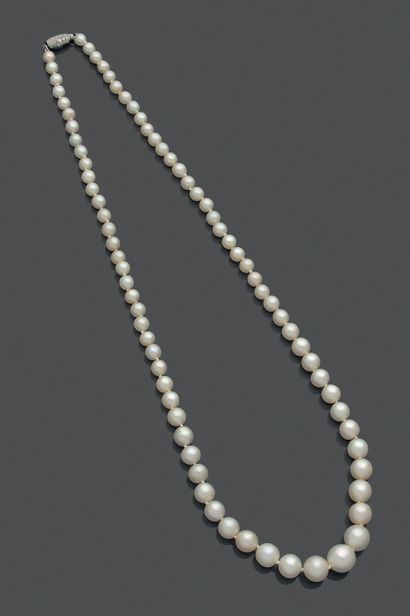 Chaumet.

Collier d'un rang de 77 perles...