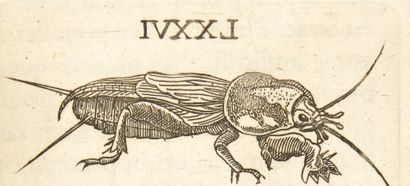 GOEDAERT, Jan
Métamorphoses naturelles ou...