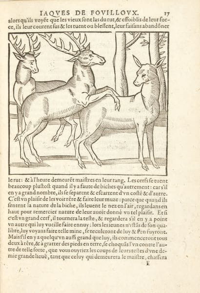 Du Fouilloux, Jacques
La Vénerie. De nouveau...