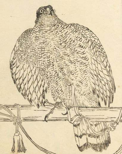 KITTENBERGER, Kalman
Big Game Hunting and...