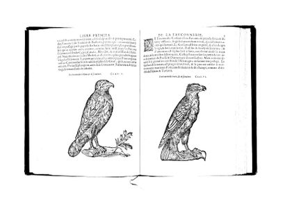 Du Fouilloux, Jacques
La Vénerie. De nouveau...
