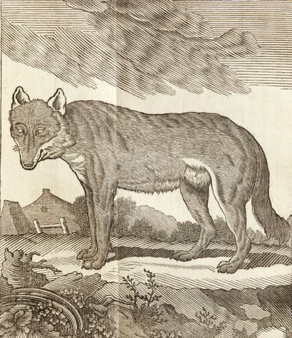 LE VERRIER DE LA CONTERIE, Jean-Baptiste...