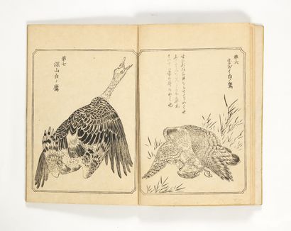 KYOSAI, Watanabe (ill.)
Ehon Taka Kagami...