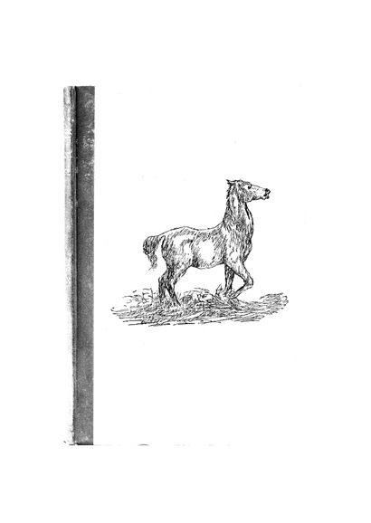 COX, J. Roalfe
Horses in Accident and Disease....