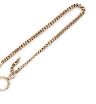 CHAINE en or 14 carats (585) à maille à anneaux...