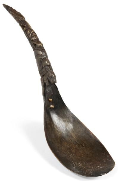 AMÉRIQUES
GRANDE CUILLÈRE en corne de chèvre...
