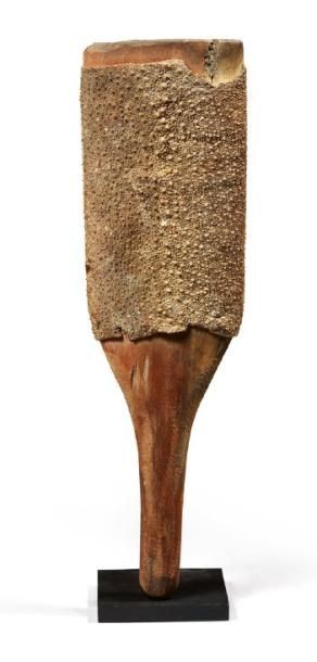 MICRONÉSIE
RÂPE de sculpteur en bois et peau...