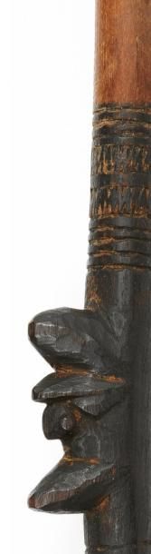 MÉLANÉSIE
LANCE de guerre en bois sculptée...